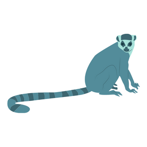 lemur monkey with long tail